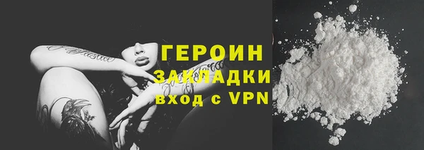 прущие грибы Апатиты