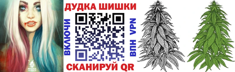Купить закладки  Козьмодемьянск  Бошки марихуана White Widow 